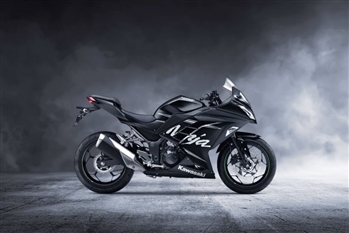 کاوازاکی نینجا ۲۵۰ - 2